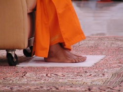 Charana Kamala, the Lotus Feet